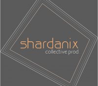 News Release. Out Now Irmageddon Hurricane Theme del collettivo di produzione Shardanix