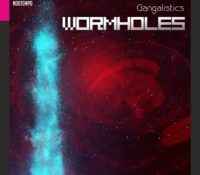 news release. gangalistics presenta WormHoles, un suggestivo viaggio sonoro oltre lo spazio temporale