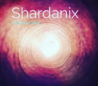Release news. Shardanix collective released a new track now in all digital stores “Cracked Brain”