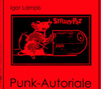 3 + 1 chiacchiere con … Il punk autoriale made in sardinia dell’autore e musicista Igor Lampis ak StravyPaz