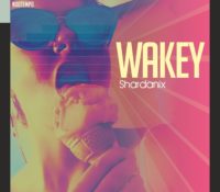 Release News.Shardanix out with WAKEY, available now in all Digital Stores